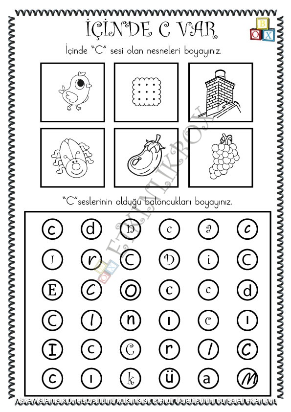 İçinde C Sesi Var